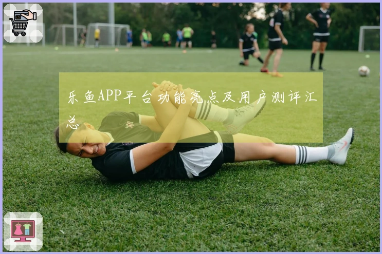 乐鱼APP平台功能亮点及用户测评汇总