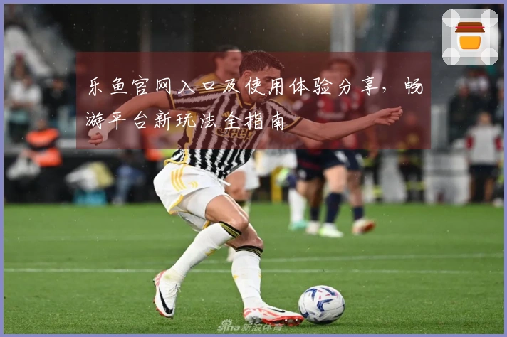 乐鱼官网入口及使用体验分享，畅游平台新玩法全指南