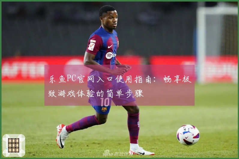 乐鱼PC官网入口使用指南:畅享极致游戏体验的简单步骤